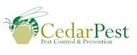 Cedar Wasp Control 371466 Image 0